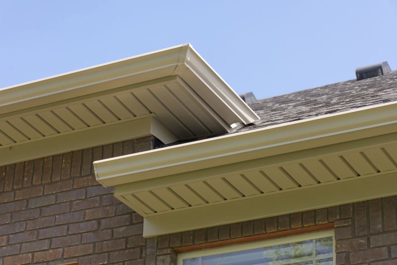 Soffit Dirt Removal detail