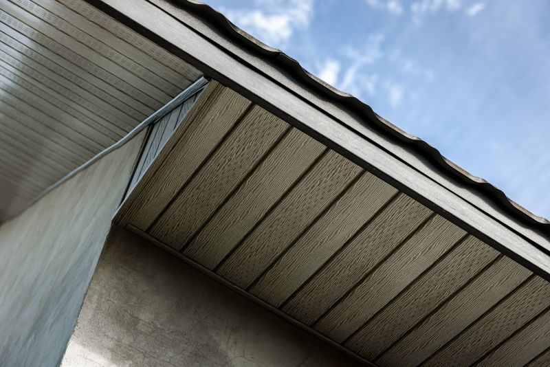 Soffit Dirt Removal detail
