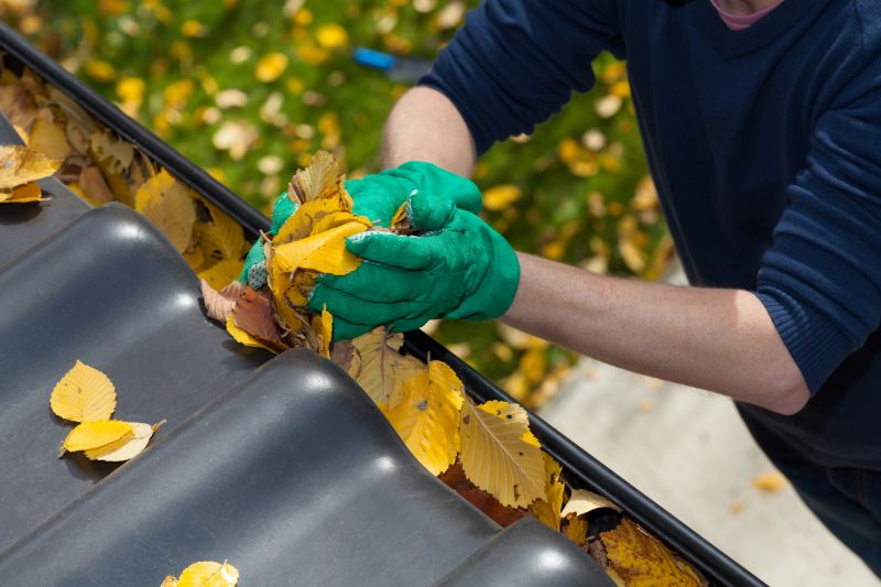 Gutter Leaf Clearing in Bergen County, NJ