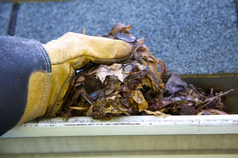 Gutter Leaves Removal in Annapolis, MD